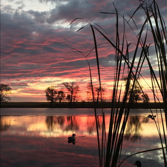 Hi! Meet your Posher, Donna! - Picture 1 of 1